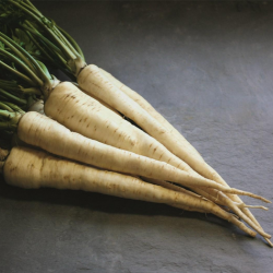 Pietruszka Arat 500 gram ZW ST